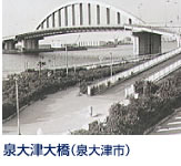 堺泉北港の泉北5区(小松ふ頭)と6区(助松ふ頭)を結ぶ連絡橋として、昭和51年8月に完成しました。アーチ部材を中央分離帯に一本だけ設けるという世界でも珍しい「単弦アーチ橋」(全長175m)で、堺泉北港のシンボルとして市民に親しまれています。 南海本線泉大津駅下車 徒歩20分。