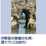 沖野島には通り穴、お手洗いなどと呼ばれている所があり、人々はこれを厳島神社と呼んでいました。また、江戸初期にはここで生洲を作り魚を飼っていたといいます。 車利用の場合、広島港から江田島切串港までフェリーで30分、切串港から現地まで40分(約21km)。